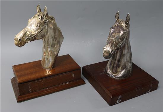 After D. Geenty- A modern silver overlaid model of a horses head, Sheffield, 2006 and one other similar model Geenty height 21.4cm.